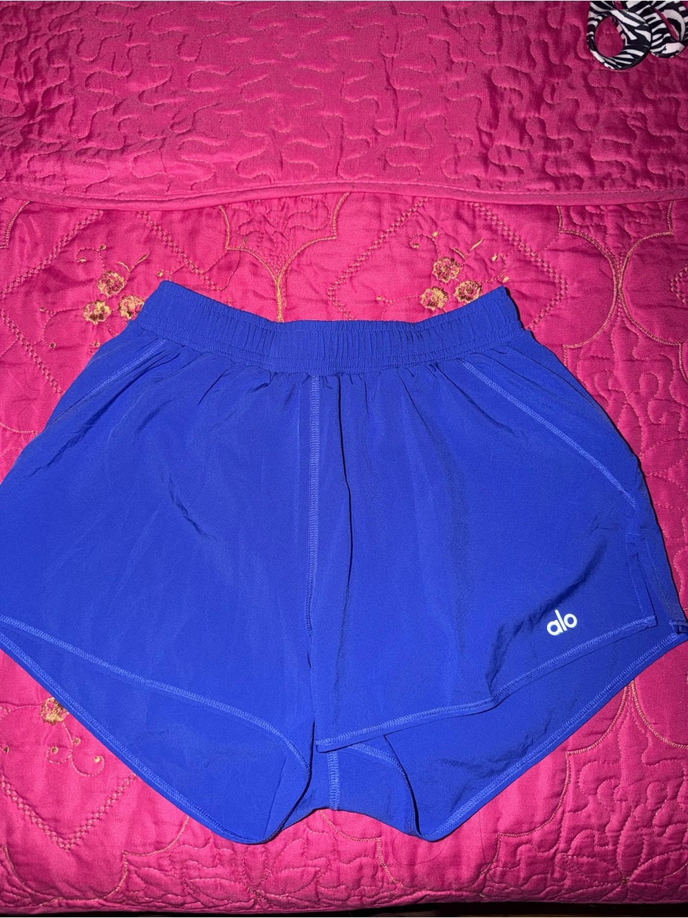 ALO Yoga Blue Athletic Shorts with Elastic Waist
